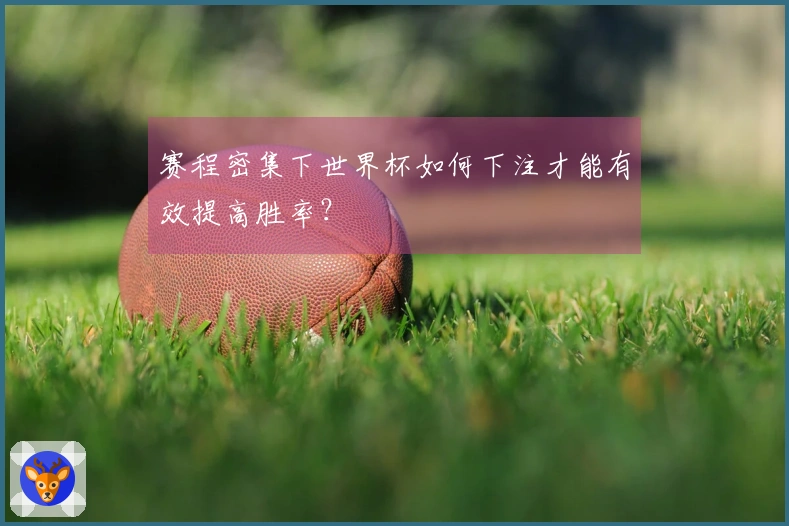 赛程密集下世界杯如何下注才能有效提高胜率?