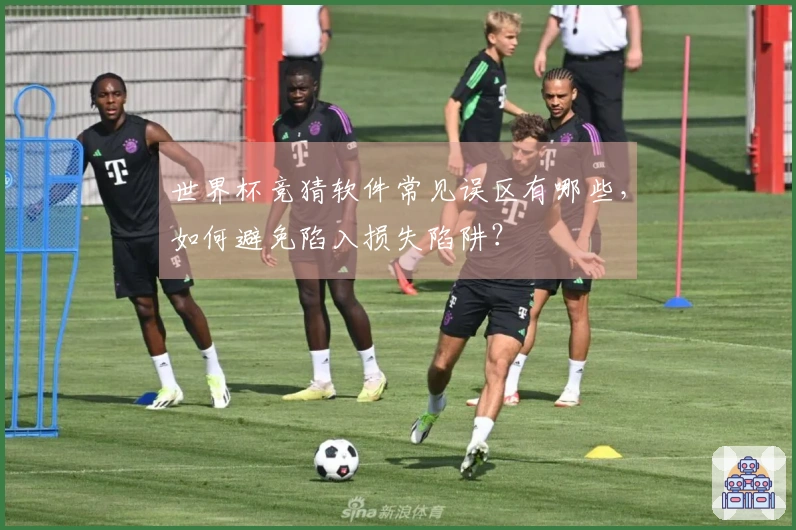 世界杯竞猜软件常见误区有哪些，如何避免陷入损失陷阱？