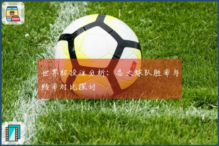 世界杯投注分析：各大球队胜率与赔率对比探讨