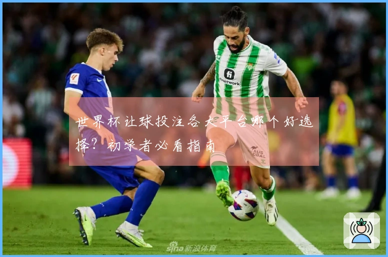 世界杯让球投注各大平台哪个好选择？初学者必看指南